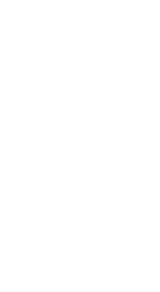 国産備長炭