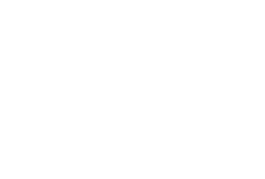 脂控えめの美味宍粟産サーモン